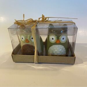 Tag Ceramic Owl Salt + Pepper Shakers Set Kitschy  Kitchen NIB Rustic Gift Box